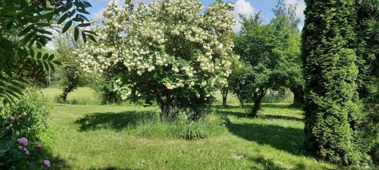 Dom Goscinny Lerka - 240 M2 Mazury Jeziora Lasy Lakorz Экстерьер фото