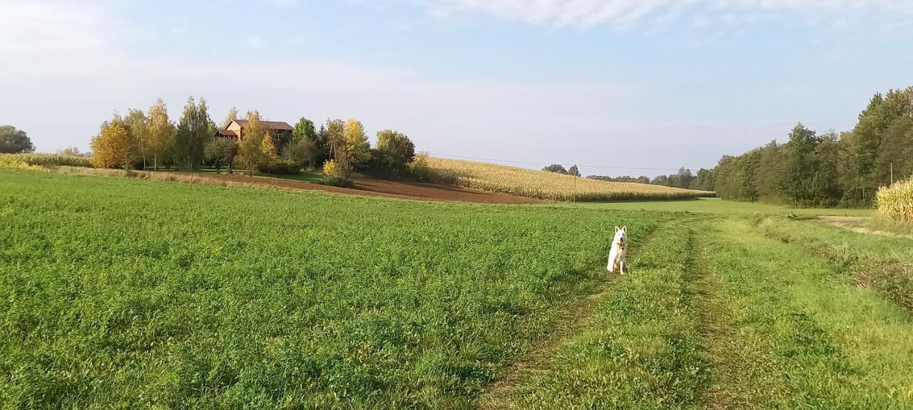 Dom Goscinny Lerka - 240 M2 Mazury Jeziora Lasy Lakorz Экстерьер фото