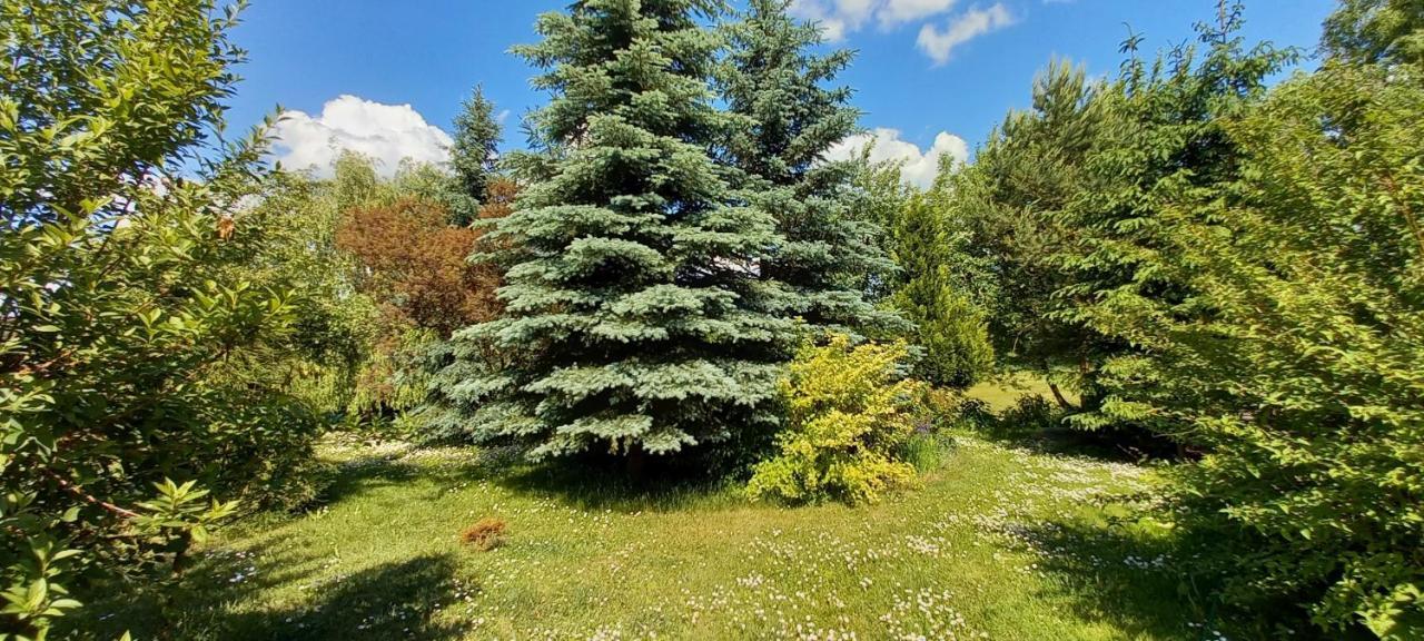 Dom Goscinny Lerka - 240 M2 Mazury Jeziora Lasy Lakorz Экстерьер фото