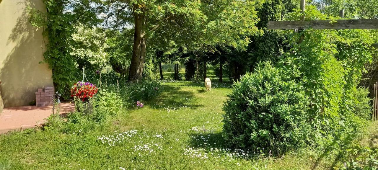 Dom Goscinny Lerka - 240 M2 Mazury Jeziora Lasy Lakorz Экстерьер фото